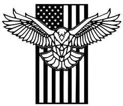 American Flag with Eagle Relief