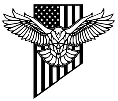 American Flag with Eagle Relief