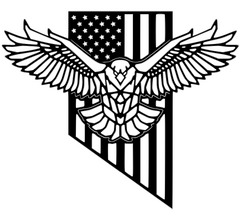 American Flag with Eagle Relief